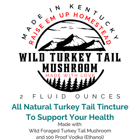 Turkey Tail Mushroom Tincture - Fresh - All Natural Immune System Support - Wild Foraged Turkey Tail Mushroom